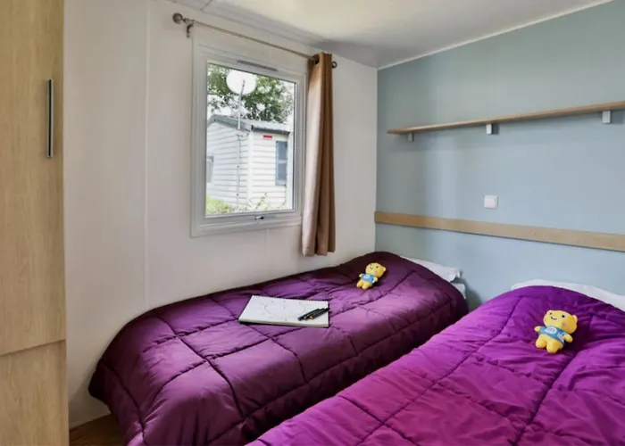 キャンプ場 - Piscine - Ccb0cfa *