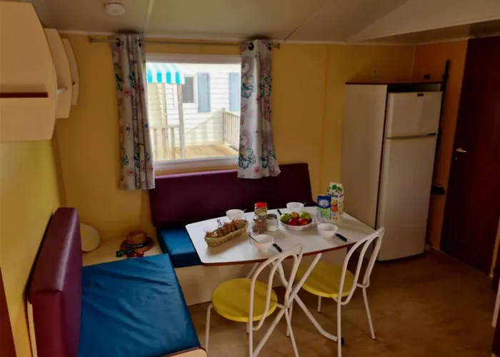 - Piscine - Ccb0cfa キャンプ場